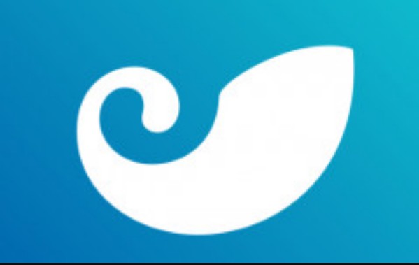 <strong>usdt钱包最新映射教程(usdt omni钱包 教程)</strong>
